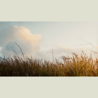 Why Is It Better That Christ Went Away (John 16:7)?