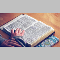 Women of the Word: Reading the Bible for Ourselves