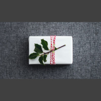 Why Is Christmas Precious to You?