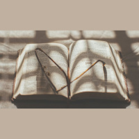 What’s True and False in Job?