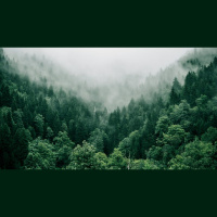 When Does Bible Neglect Become Sinful?