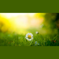 What Makes Easter So Special?