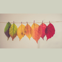 My Suffering Feels Meaningless — What Can I Do?