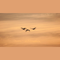 Should I Pray to the Father, the Son, or the Spirit?