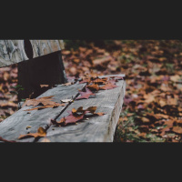 “My Life Feels Pointless”