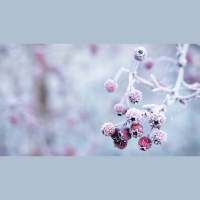 How Do I Welcome Christ at Christmas?