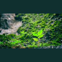 John Piper’s Testimony