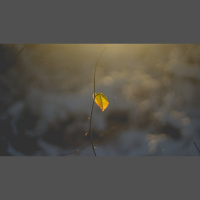 I’m Afraid of Surrendering to Christ — What Can I Do?