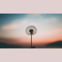 How Do I Find Freedom from Worry?