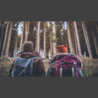 Is Christian Hedonism Only for Complementarians?