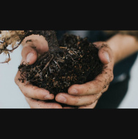 How Do I Own Biblical Truths for Myself?