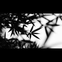 Is It Sinful to Want to Die?