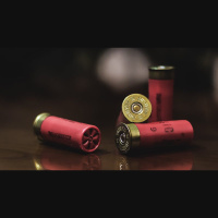 God, Guns, and Biblical Manhood