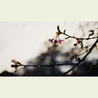 How Do I Submit to My Unbelieving Husband?