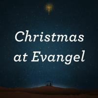 12.20.15 - Family Christmas