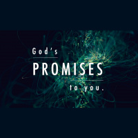 The Promise Of Provision