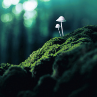 Existential Medicine