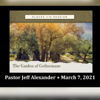 Places of the Passion - The Garden of Gethsemane