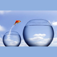 AN EXCELLENT SPIRIT: Ways to Enlarge Your Life This Year