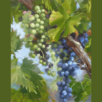 SECRETS OF THE VINE: Abounding Fruitfulness, pt. 14