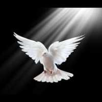 THE ADVOCATE, pt 2: Abounding Fruitfulness, pt. 5