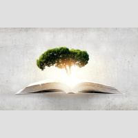 THE SUPREMACY OF WISDOM, by elder Mark Suverkrup