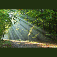 A MORE EXCELLENT WAY: Abounding Fruitfulness, pt. 2