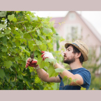 NEXT-LEVEL MATURITY: Abounding Fruitfulness, pt. 11