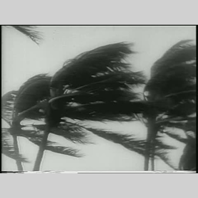 Blessed Life Fellowship