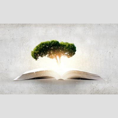 Blessed Life Fellowship