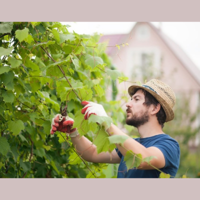 Blessed Life Fellowship