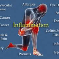 Good vs Bad Inflammation - LOF Podcast 179