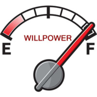 LOF Podcast: Episode 42 - Is Willpower a Limited Resource?