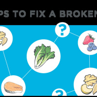 Life of a Fighter LOF Podcast: Episode 49 - Nutrition  Fitness For Busy Professionals Infographic