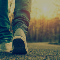 Life of a Fighter LOF Podcast: Episode 65 Walking  Winning