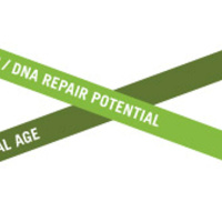 Cell Regeneration with Ira Pastor CEO of BioQuark Inc - LOF Podcast 138