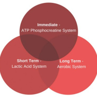 The Energy Systems of the Human Body - LOF Podcast 164