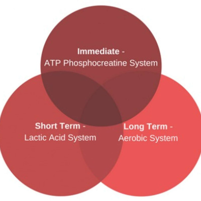 Life Of A Fighter Podcast