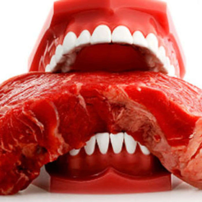 Life Of A Fighter Podcast