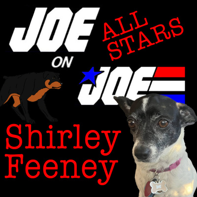 Joe On Joe - A G.i. Joe Podcast