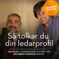Så tolkar du din ledarprofil