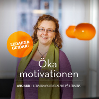 Öka motivationen - hos dig och dina medarbetare