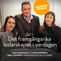 Det framgångsrika ledarskapet i vardagen del 1