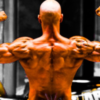 Episode 3-Nutrition Part 1