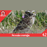 Omega Songs 42 – Sessão coruja