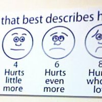 The Useless Podcast: Episode 4 - Feedback, Sequels, and more