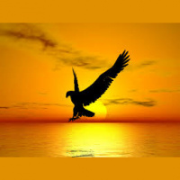 Freedom in the Spirit