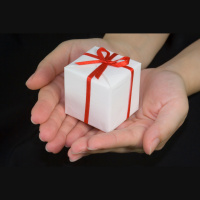 Original Sin Part 2: The Gift and the Trespass