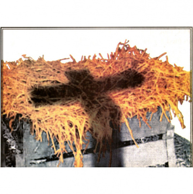 Friendship Southern Baptist Church Sermons