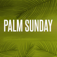 Temporary Praise or Eternal Adoration? (Palm Sunday 2026) [Brady Randall]